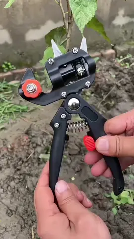 Have you ever seen such grafting shears? They greatly improve the survival rate of grafting.#grafting #gardentools #tools #tiktokmademebuyit #fypシ゚viral 