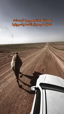 #عرعر_عرعرنا_الحدود_الشماليه_عرعرنا #عرعر #الروله #اهل_العليا #الجوف #سكاكا_الجوف #طريف #السعودية #الشمالي #عنزه 