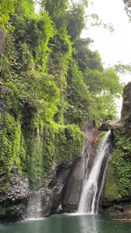 Ada yang tau ini curug apa ? Clue nya berada di Sumbang, Banyumas 🙄 #fyp #curug #waterfall #purwokerto #purwokertokeren #purwokertoviral #infopurwokerto #instapurwokerto #pesona #pesonaindonesia #wonderfullindonesia #sumbang 
