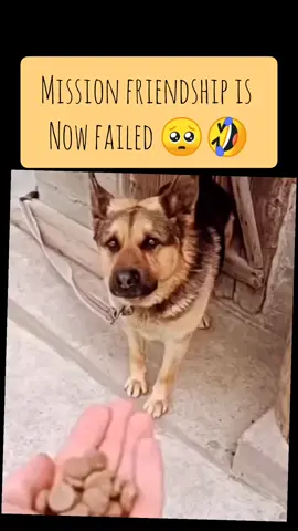 #fyp #foryou #funnyvideos #animals #pets #funnyanimals #unbelievable #hahaha #crazy #fun #funny #PetsOfTikTok #trend #viral #most #mostviralvideo #trend 