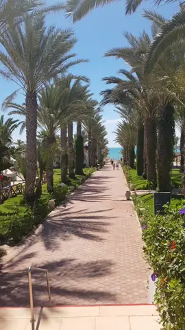 Palm Azur Djerba @toutlemondetiktok @Tout @Tunisia Hotels and life 