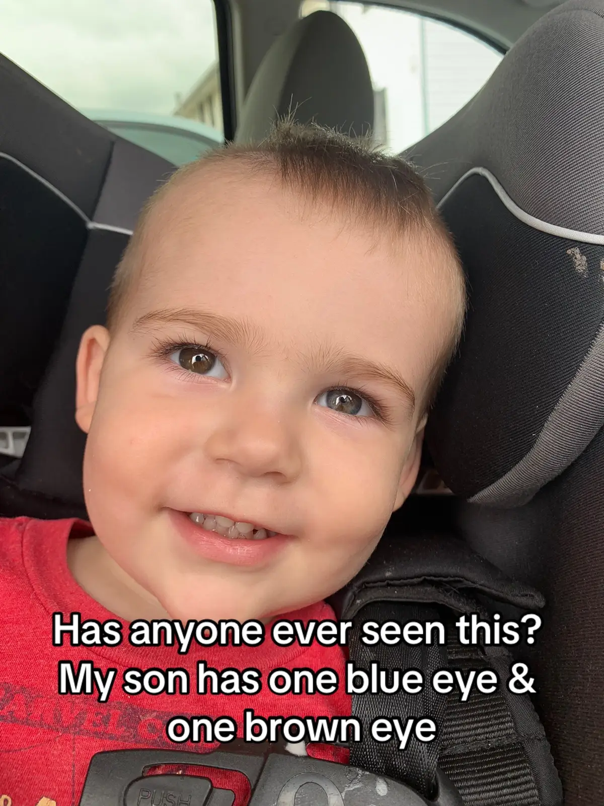 Hes so cute tho #fyp #foryou #foryoupage #MomsofTikTok #eyes #heterochromia 
