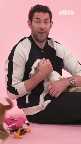 This is your sign to binge watch The Office this weekend. 💼John Krasinski Puppy Interview is live on Buzzfeed Celeb's YouTube channel! @Animal League America #JohnKrasinski #TheOffice #PuppyInterview 
