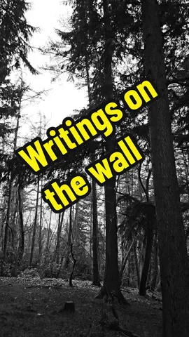 #writingsonthewall #slowmo #lyricsvideoedit #randomness #deep #feeling #007 #samsmith 