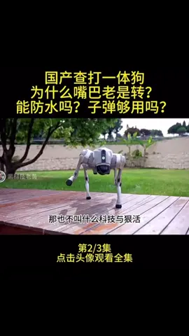 #中国🇨🇳 #看清事實 #笑一笑沒煩惱 #机器狗 