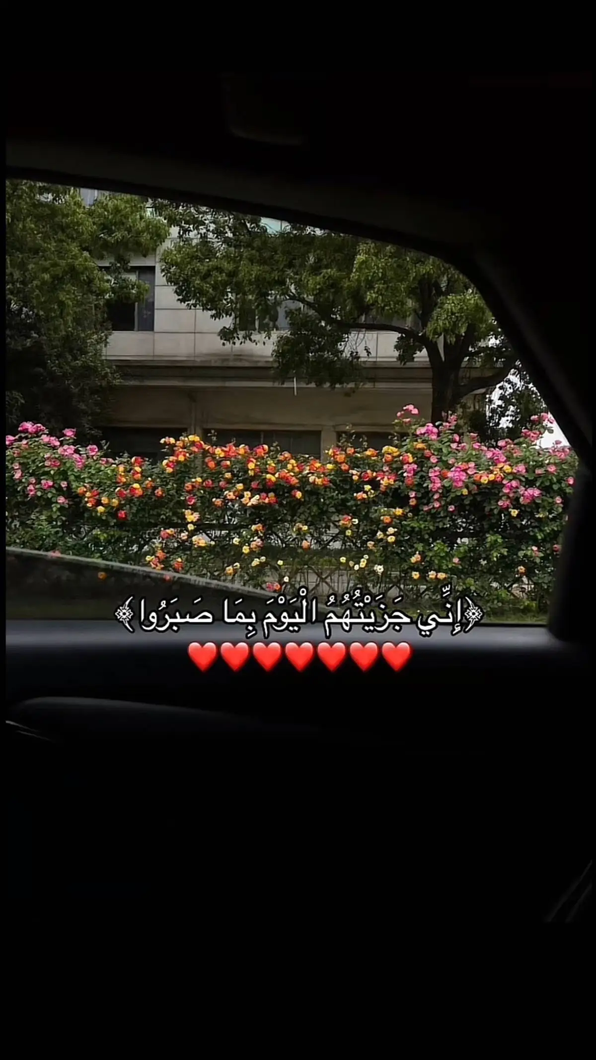 أكتب شي تؤجرين عليه💓