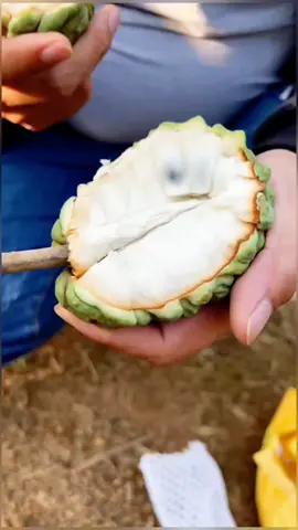OMG😱✨🥰😋🔥#top #fyp #happy #asmr #foryou #fruit #yummy #foryoupage #natureathome #share #smile 