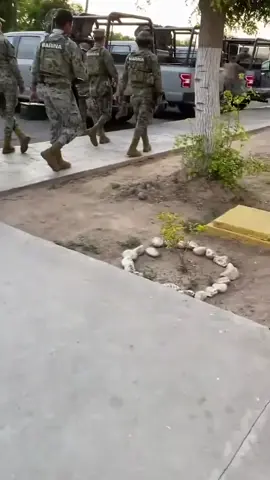 #semar #marinotiktok #chxrlymx #marinesoftiktok #soldados #marinecorps #unopes #infanteriademarina #infanteria #marina #marinosmexicanos #marinos #navys #navylife #pixeles #camuflado #fuerzasespeciales #fuerzasarmadas #fuerzasarmadasdemexico #armadademexico #marinaarmadademexico #sionomarino #torrecentral1 #zaumspe #comando #gafes #ganfes #ancla #patasalada #elmarinosoy #siemprefuerte #siemprefuerte882 #siemprefuerte822 #patrulla #patrullando #sentinel #protactics #marinatransjungle #us4ces #us4cesmx #transcisionaldigital #immxx1 #fusilero #granadero #ametralladorista #obusero #naval #tactic #tactical #operator #operadoresdemar #policianaval #policianavalmexicana #bim #bimfuspar #fes #quachics #anfibio #anfibios #enelmar #enelaire #enlatierra #enelaireenlatierraenelmar #todopormexico #todoporlapatria🇲🇽 #todopormexico💚💚💚🇲🇽🇲🇽🇲🇽 #fypシ゚viral #follow #tiktok #foryoupage #duet #tiktok4fun #loveyoutiktok #trending #Viral #travel #lifestyle #explore #military #militarylife #militar #milicia #escuadra #peloton #unidad #mando #mandoycontrol #regimiento #reclutamiento #marinero #fogonero ##guardia #guardiamarina  #fragata #corbeta #alferez #navio #almirante #contraalmirante #cabo #brigada #division #regimiento #batallon #compañia #sección #batería #cuerpodefuerzasespeciales #cuerpodeinfanteriademarina #fuerzasarmadas #fuerzasanfibias #almirantazgo #heraldica #fuerza #espíritu #sabiduria #fuerzaespiritusabiduria #comandancia #honor #coraje  #compromiso #infanteriaanfibia #fesgo #fespa #fescen #unidaddeoperacionesespeciales #batartim #batcogo #batcopa #coes #tropas #comandos #blindado 