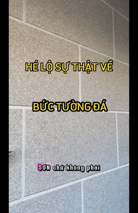 Hé lộ sự thật về những “bức tường đá” mà chúng ta thường thấy #sonda #songiada #sonhieuung #anhthoson #sondahoacuong 