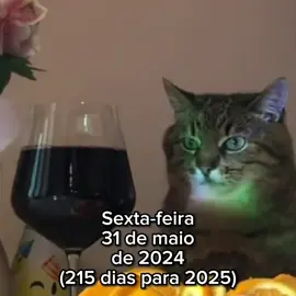 FINAL DO MÊS JÁ??! 😿 (215 dias para 2025...) #sexta #sextouuu #calendario #gatinhosfofos #tristeza 