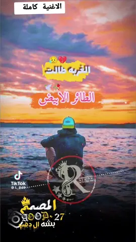 #الطائر_الابيض#اغاني_ليبية🇱🇾 #تصميم_فيديوهات🎶🎤🎬 #ريقي_ليبي🤗😍ليبيا🇱🇾 