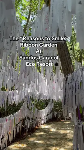 There’s a pathway with Sandos Caracol Eco Resort that serves as a visual reminder of the resort’s promise of guest satisfaction through its “Reasons to Smile” campaign.  The interactive display allows guests to share their reasons to smile by hanging a personalized white ribbon within the display.  I loved walking through the ribbons and reading the notes left by past resort guests. Seeing ribbons with notes written in other languages was especially cool. It’s a reminder of how big a world we live in but also the common bonds we share. The ribbon garden is a beautiful display. It provided a space for quiet reflection during my short stay at the beautiful resort.  Comment and let us know your “Reasons to Smile.”  #sandoscaracolecoresort #sandos #reasonstosmile @Sandos Hotels