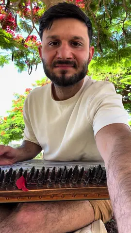 ‘Halev Sheli’ Shabbat Shalom  🤍✨ #kanun #amiralaev #qanun #livemusic #shabbatshalom #IshayRibo 