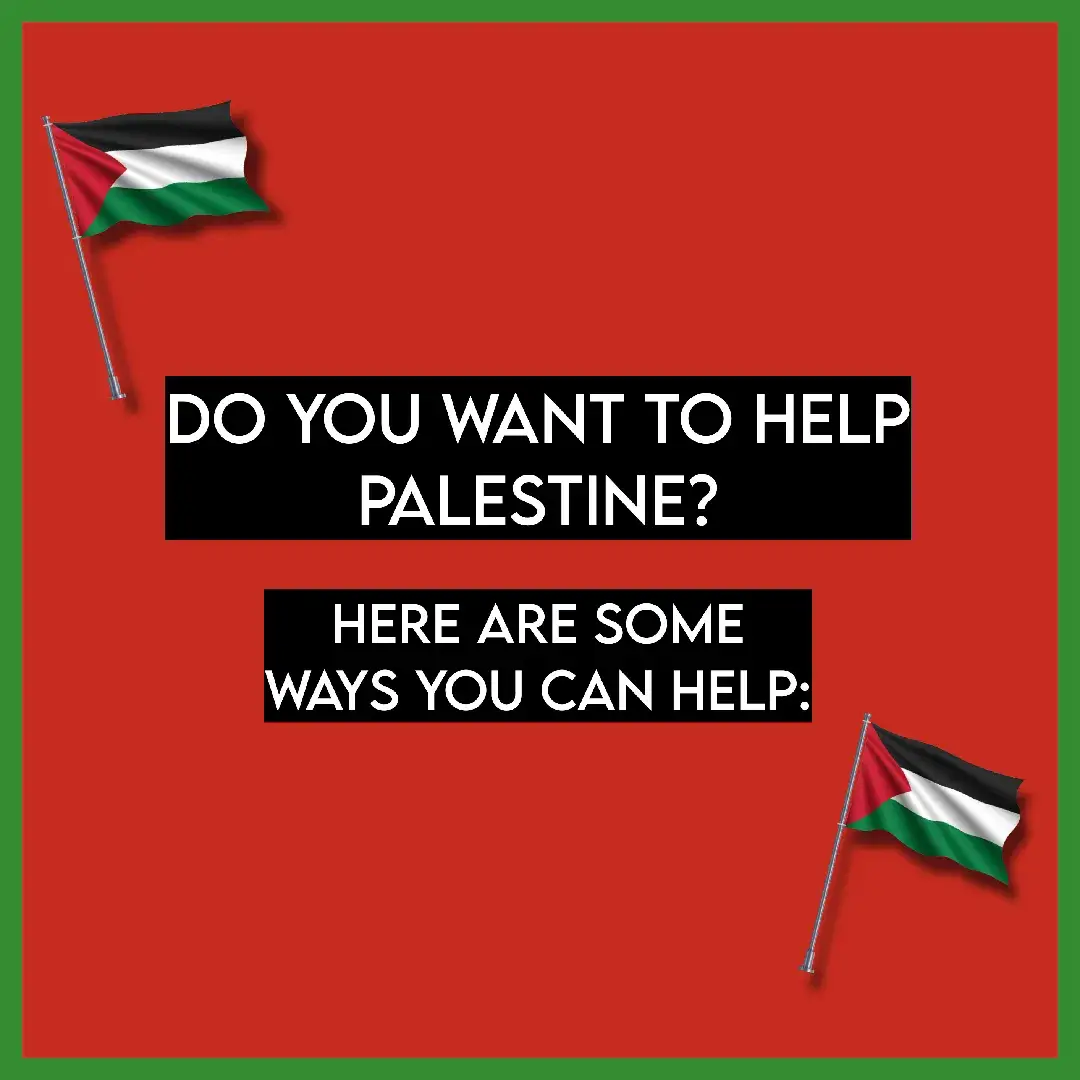 The pages with donation links (they're also very informative): @Kentrello @sammyshiblaq @TXZZ 🪷 @Sinead Bailey 🍉 @theartistmedia @Shumirun Nessa  • #freepalestine 