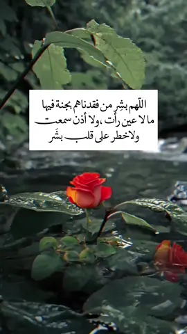 . . . #اللهم_صل_وسلم_وبارك_على_نبينا_محمد  #يوم_الجمعة #ليلة_الجمعة #دعاء  #صباحيات #صباح_الورد  #صباح_الخير #صباح_السعاده #مساء_الخير #ساعة_استجابة  #اللهم_ارحم_موتانا_وموتى_المسلمين  #اكسبلور #fyp #قران  #اللهم_صل_وسلم_على_نبينا_محمد  #الصلاة_على_النبي 