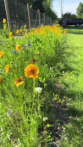 Peaceful Friday morning at our farm stand. #lauxfamilyfarm #farmstand #homestead #farmfresh 