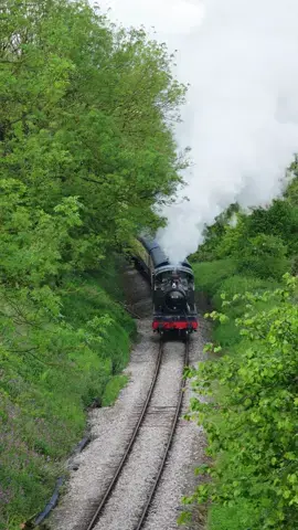 GWR 4110 ‘Large Prairie’ powering up the gradient to Cranmore station at the East Somerset Railway. Found this bridge by accident and its my new favourite spot! #steamtrain #steamlocomotive #steamengine #railway #trains