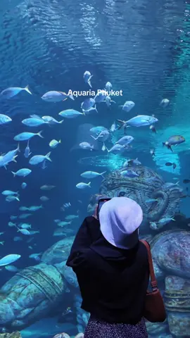 Aquaria with ma love✨ #aquaria #aquariaphuket #TikTokLocalServices #couple  #dateideas 