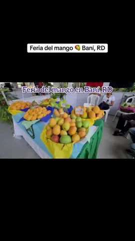 Te gustan los mangos?