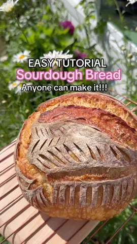 Sourdough bread is so easy to make!! I promise you it all sounds complicated until you just do it! Once you catch on, it just clicks!! 🙌🏻🩷🥖 I hoped this sourdough tutorial helps! You can print this recipe on my blog! I also have the same recipe but different timeline on my page too:) #sourdoughbread #easysourdough #sourdoughstarter #sourdoughrecipe #sourdoughtok #sourdough #breadmaking #bakingrecipe 
