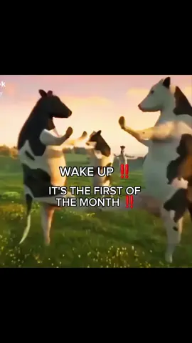 WAKE UP THE FIRST DAY OF THE SUMMER YAHOOOOOO . . #wakeup #cows #wakeupitathefirstofthemonth #sakurasqd #playboicarti