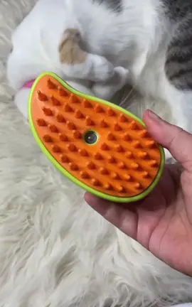 Our Cat Steam Brush in action ! This product uses gentle steam to loosen dead hairs and the soft Bristles capture it with ease ✨️  #pets #catsoftiktok #cat #fyp #animals #PetsOfTikTok #cat #cute 