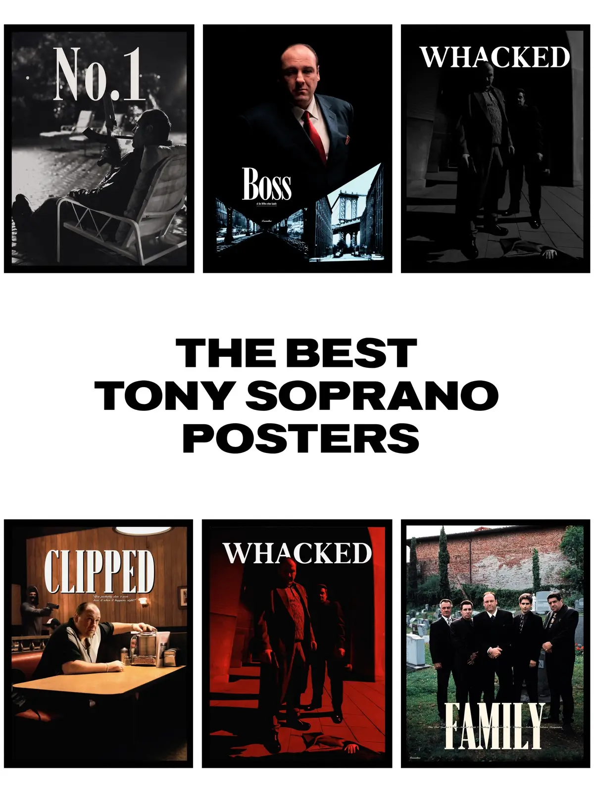 Best protagonist of all time. #sopranos #sopranostok #thesopranos #thesopranostok #tonysoprano #sopranosmemes #thesopranosedit #sopranosedit #tonysopranoedit 