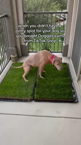 2 is better than 1! #doggielawn #realgrass #pottypad #dogsoftiktok 
