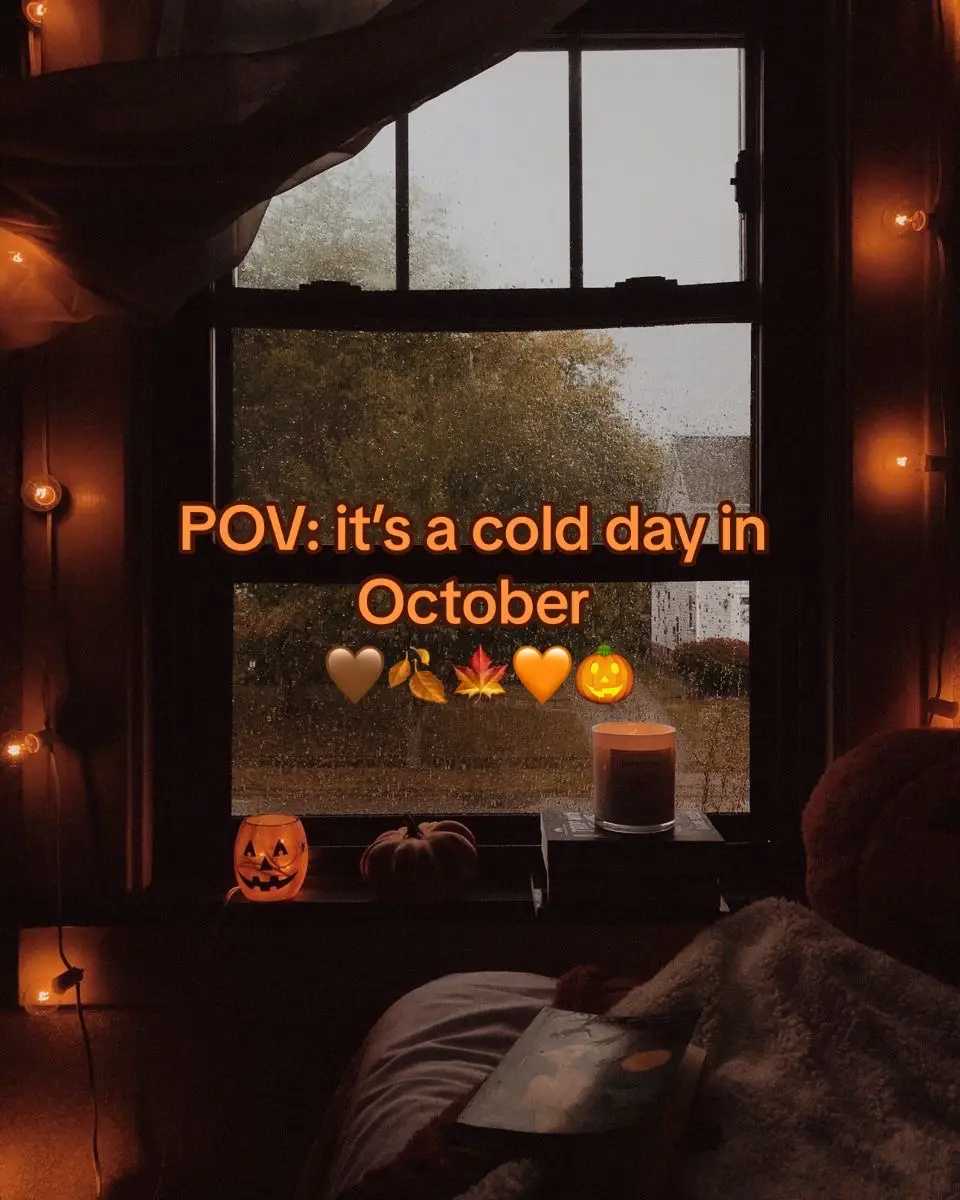 Cozy vibes 🧡🍂🍁🤎🎃🫶🏼 #halloween #happyhalloween #spookyvibes #spookyseason #thenightmarebeforechristmas #spooky #allhallowseve #scarymovies #cozy #fall #fallaesthetic #fallvibes #pumpkins #pumpkinseason 