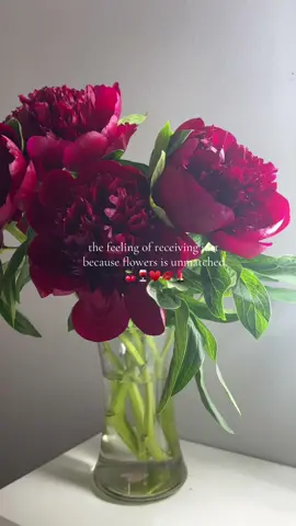 amo!  #fyp #peonies #parati #peoniesflowers #Summer #lanadelrey #boyfriend #longdistancerelationship 