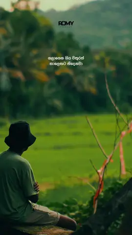 🌊 කාලෙකට 🔥 #fyp #sad #status #fypシ゚viral #onemillionaudition #foruyou #sinhala #viraltiktok #romy0 