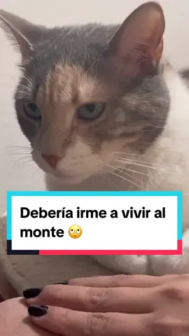 Respuesta a @Tatyana Bernal 