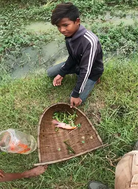 Amazing Fishing