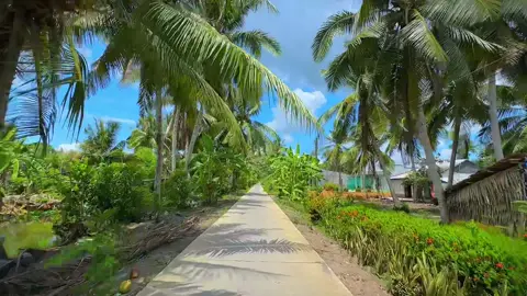 Hậu Giang khúc đường này chill lắm nè anh em 🤭 #xuhuongtiktok #chill #videocảnhđẹpchill #miềntây #hậugiang95 #fyp 