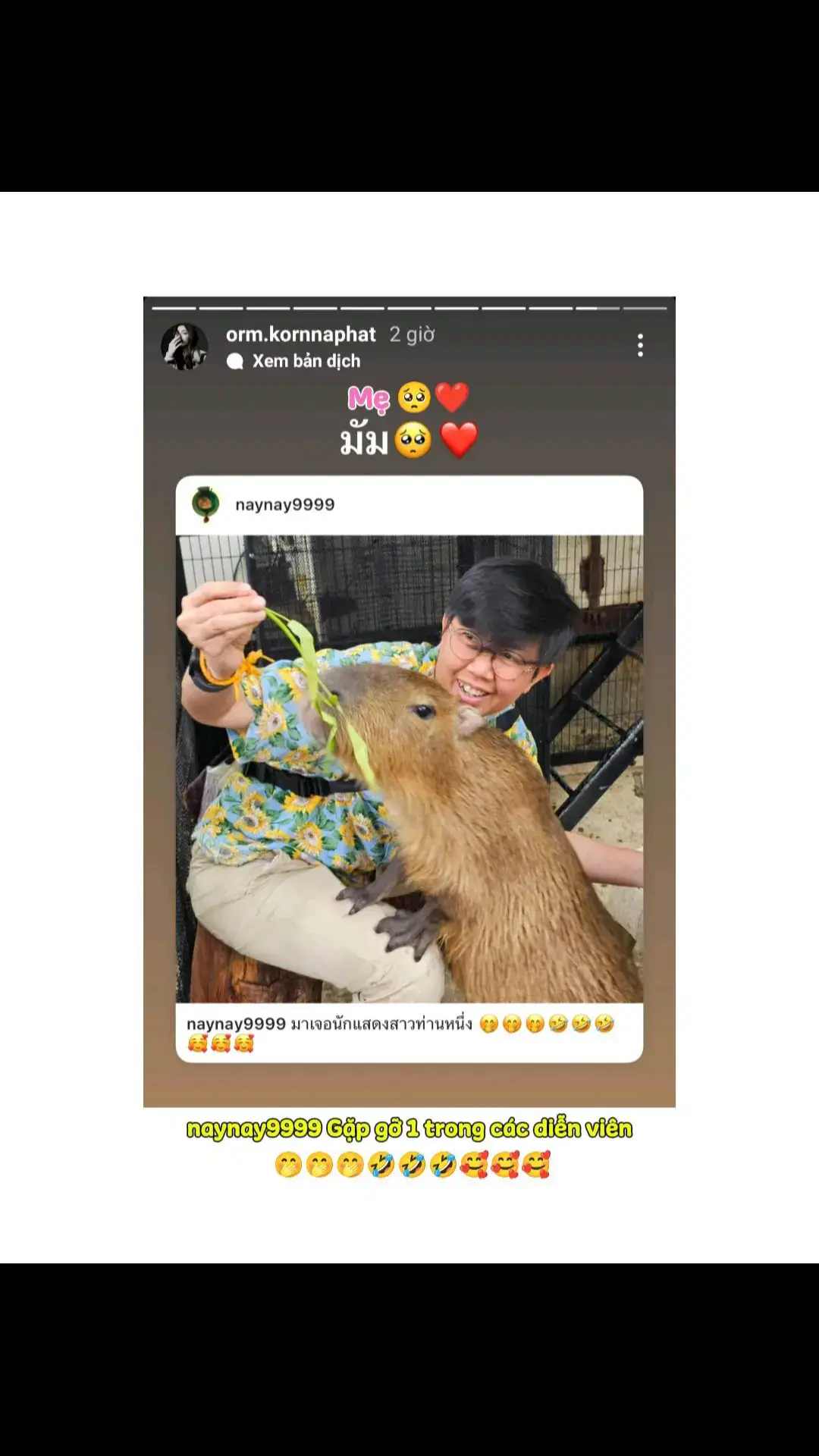 Capybara = Orm 🤭🤭 #TheSecretOfUs #lingorm #linglingkwong #ormkornnaphat #ใจซ่อนรัก #หลิงออม #หลิงหลิงศิริลักษณ์ #ออมกรณ์นภัส #GL #ThaiGL #GLSeries 