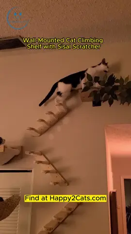 Wall-Mounted Cat Climbing Shelf with Sisal Scratcher💗 Find name product at our website or copy link in comment ! 📣 Use #happy2cats to get featured!