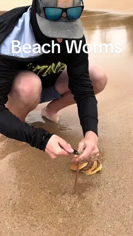 Burger still tasted good after a lot of sand on it 😂 #foryou #foryoupage #fyp #viral #fypシ #beach #crazy #you #fish #fishing #food #nature #monster #tiktok #fy #wild #insane #fypシ゚viral 