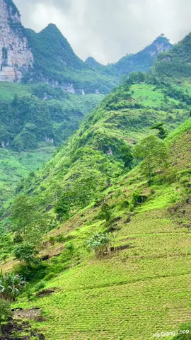 Đời sống vùng cao, treo leo giữa núi đá chưa bao giờ là dễ dàng #xuhuong #hagiang #travel #tiktoktravel #mapileng #dulichvietnam #dulich 