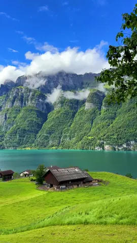 📍 Walensee, Switzerland 🇨🇭 Follow for daily Swiss Content 🇨🇭 📌 Save this for your (next) trip to Switzerland 🇨🇭 🎥 by: @swisswoow    #switzerland #stgallen #lake #walensee #mountains #nature #lake #schweiz #interlaken #inlovewithswitzerland #visitswitzerland #Hiking #myswitzerland #grindelwald #blickheimat #wanderlust #swissalps #travel #landscape #Summer #naturephotography #swissmountains #photography #swiss #landscapephotography #alps #switzerlandwonderland #beautifuldestinations #berneroberland #lauterbrunnen