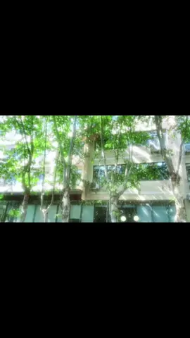 Thanh xuân của chúng ta như một mảng trời xanh thẳm. Ngày thì nắng vàng rực rỡ, ngày thì bão tố mưa rơi. Hồi ức của chúng ta, em cẩn thận gói gọn tất cả… #nhactrung#nhachaymoingay#chinesesong#xuhuong#fypシ゚viral#thanhxuan#vuontruong#caokhao#goigonhoiuctraochoanh 