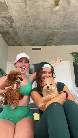 puppy yoga 🤗🤗@Puppysphere ☁️ Puppy Yoga 