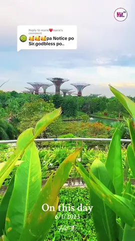 #onthisday #throwback #imisssingapore #mysingaporediary #mylifeinsingapore #ofwlife #tiktok #buhayofw #marinabaysands #gardensbythebay #fyp #fypシ゚viral #fypage #hiltv🇵🇭🇸🇬 