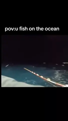 #fishslap #flyingfish #oceanfishing #meme #funny #fyp #xd #viral #foryou #fishing #ocean 