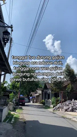 pokoke ngonokui terus