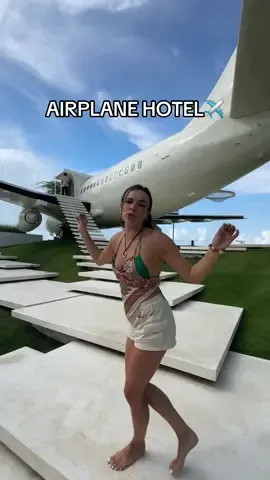 i would caption this with a funny airplane pun but it would probably just fly over your head