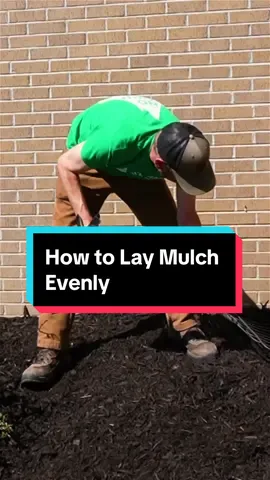 How to Fix Uneven Mulch? #mulch #lawn #lawncare #landscaping #leafblower #pitchfork 