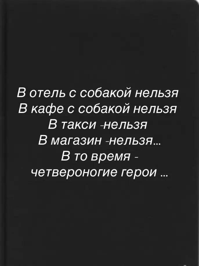 Человеческие жизни спасают не только люди , а и их верные друзья -собаки ..#собакадруг 