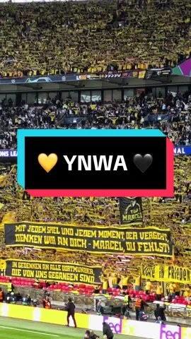 💛 YOU’LL NEVER WALK ALONE 🖤 #bvb #ucl #uclfinal #championsleague #borussiadortmund #dortmund #ynwa #youllneverwalkalone 