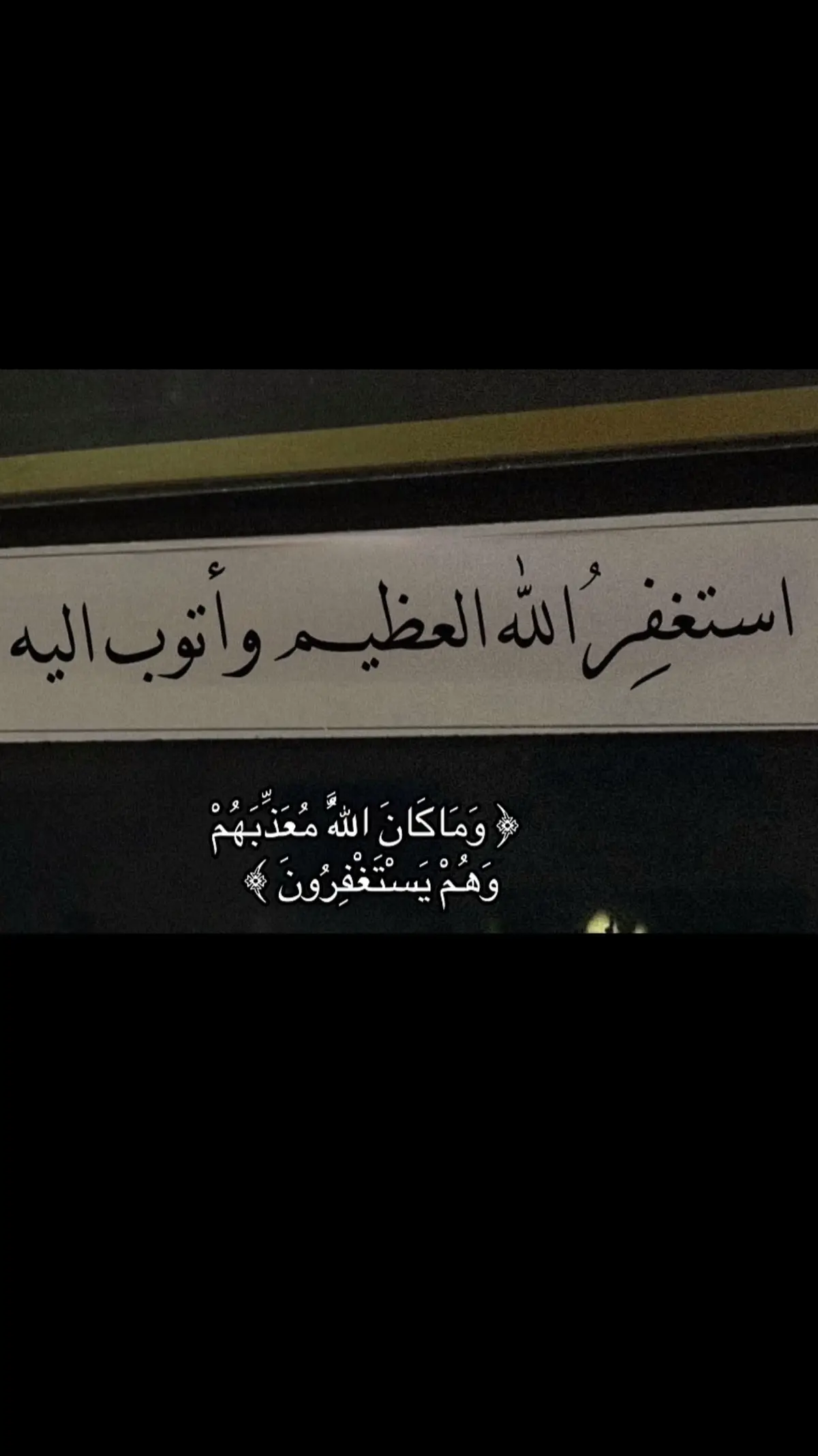 #الوتر_جنة_القلوب #اليقين_بالله_يصنع_العجائب #استغفرالله_العظيم_واتوب_اليه 