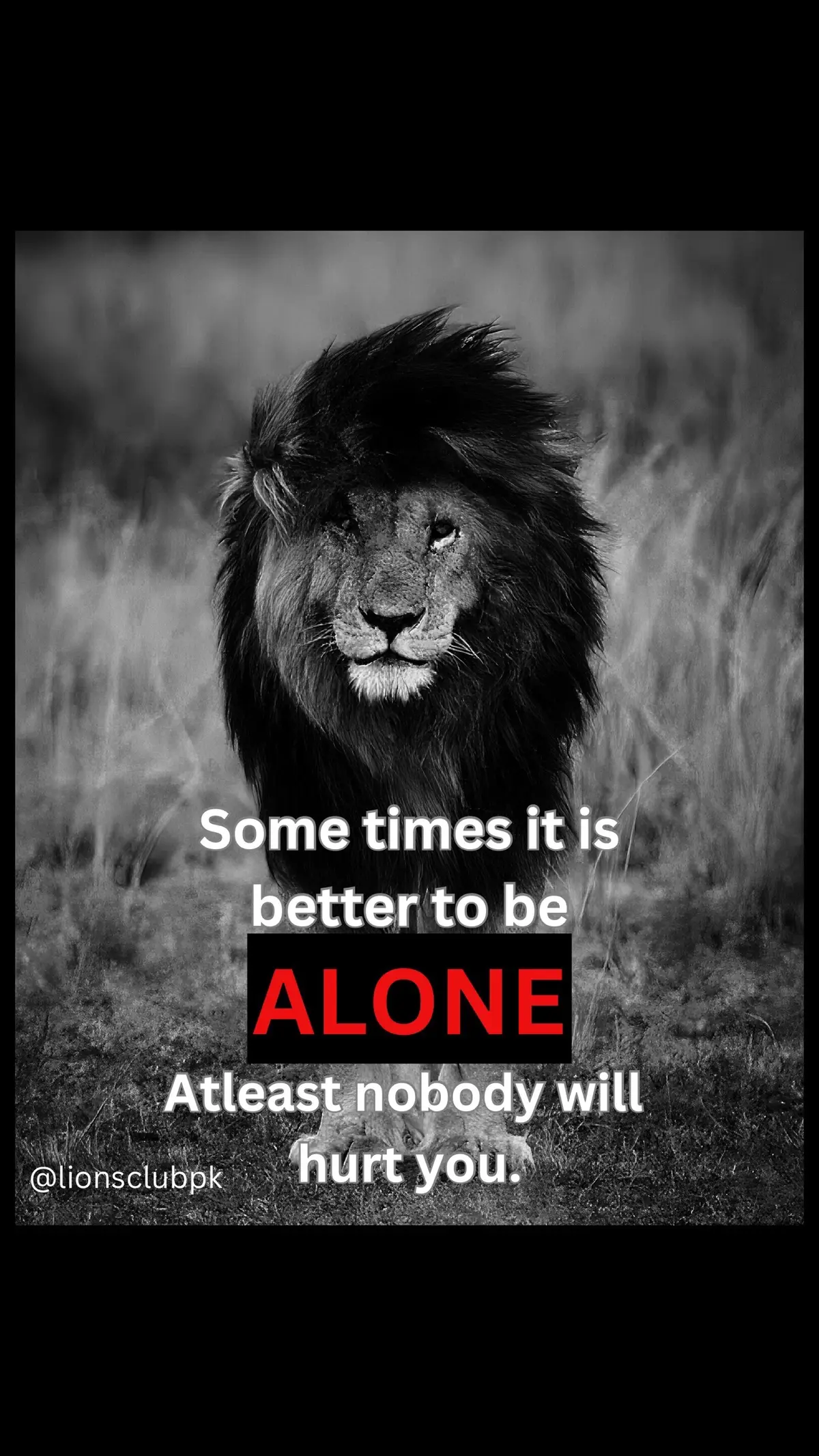 #King #Lion #LionKing👑 #LionsClub  #LionsClubPk #Success #Strength #Silence  #Power #Quotes #ikasad  #Powerful #лев #اسد #leo #الاسد #alone #trending #fyp #alone 